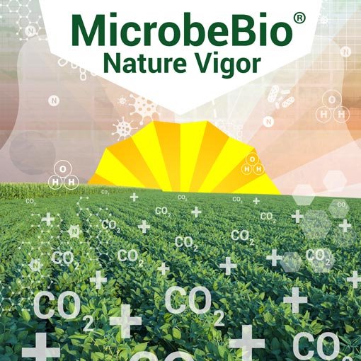 microbial, microbial fertilzier, NPK, NPK fertilizer, best fertilizer, the best fertilizer usa, fertilizer dealer supply, liquid fertilizer, hydro ferlizer, microbebio, microbe fertilizer, microbebial fertilizer, micronutrient fertilizer products, microbial fertilizer, microlife fertilizer, micro fertilizer, micronutrient fertilizer mixtures, mix micronutrient fertilizer, micro food fertilizer, liquid micronutrients fertilizer, microbe bio fertilizer, microbe preader, nutrients npk, soil enhance, granular fertilizer, liquid micronutrients fertilizer, organic micronutrient fertilizer, microbebio, microbe, fertilizer, microbes fertilizer, rice, gardening tools, soil microbes, grow soil, plan vigor, promote grown, better crops, Liquid Fertilizers, usa fertilizer, usa best fertilizer