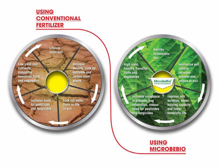 MICROBEBIO - HYDRO ACTIVATOR - t2
