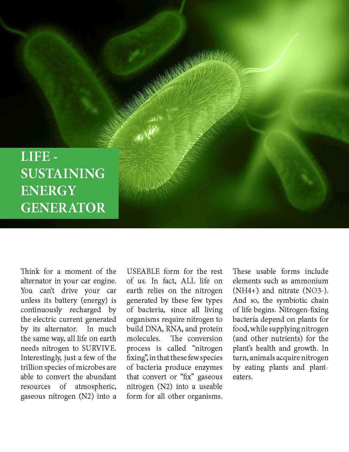 Microbes Role On Earth_2_Page_2 Microbes Role On Earth