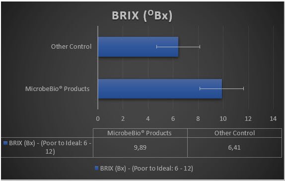 MICROBEBIO - Microbial Fertilizer An Giang Rice 1