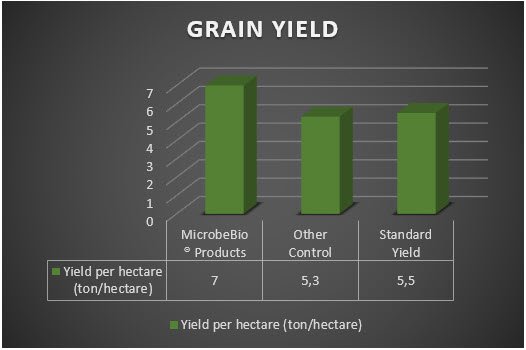 MICROBEBIO - Microbial Fertilizer An Giang Rice