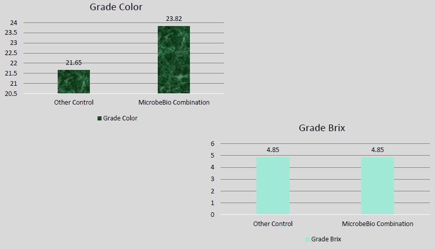 Microbial Fertilizer 112 Chart Microbial Fertilizer