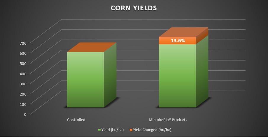 Microbebio Maize Trial Test Zambia Corn Microbebio Maize Trial Test Zambia Corn