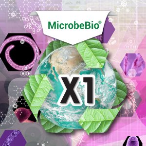 MicrobeBio® Bionematicide X1