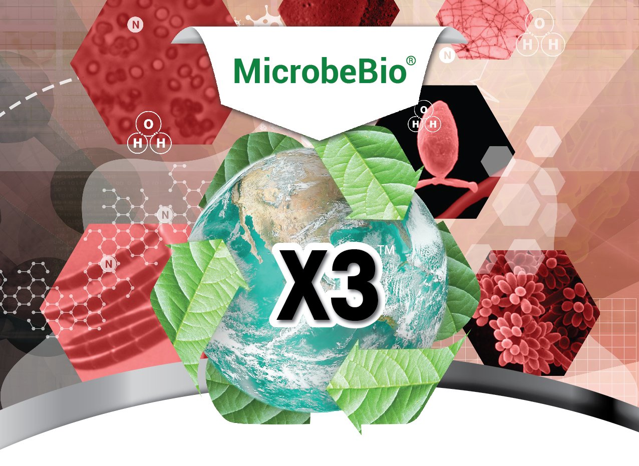 VN – MICROBEBIO X3 – COVER-01