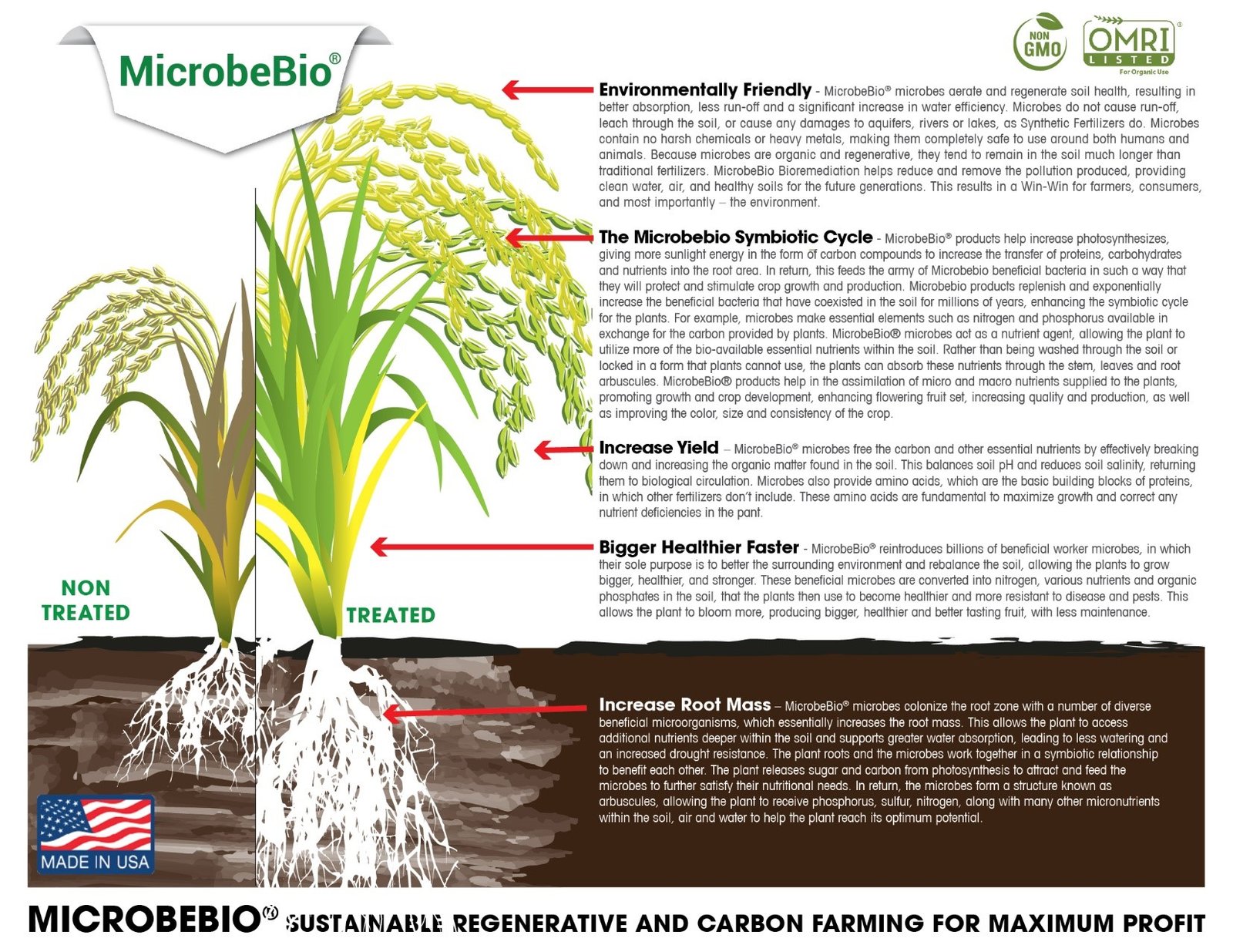 microbebio rice pest 1 microbebio rice pest