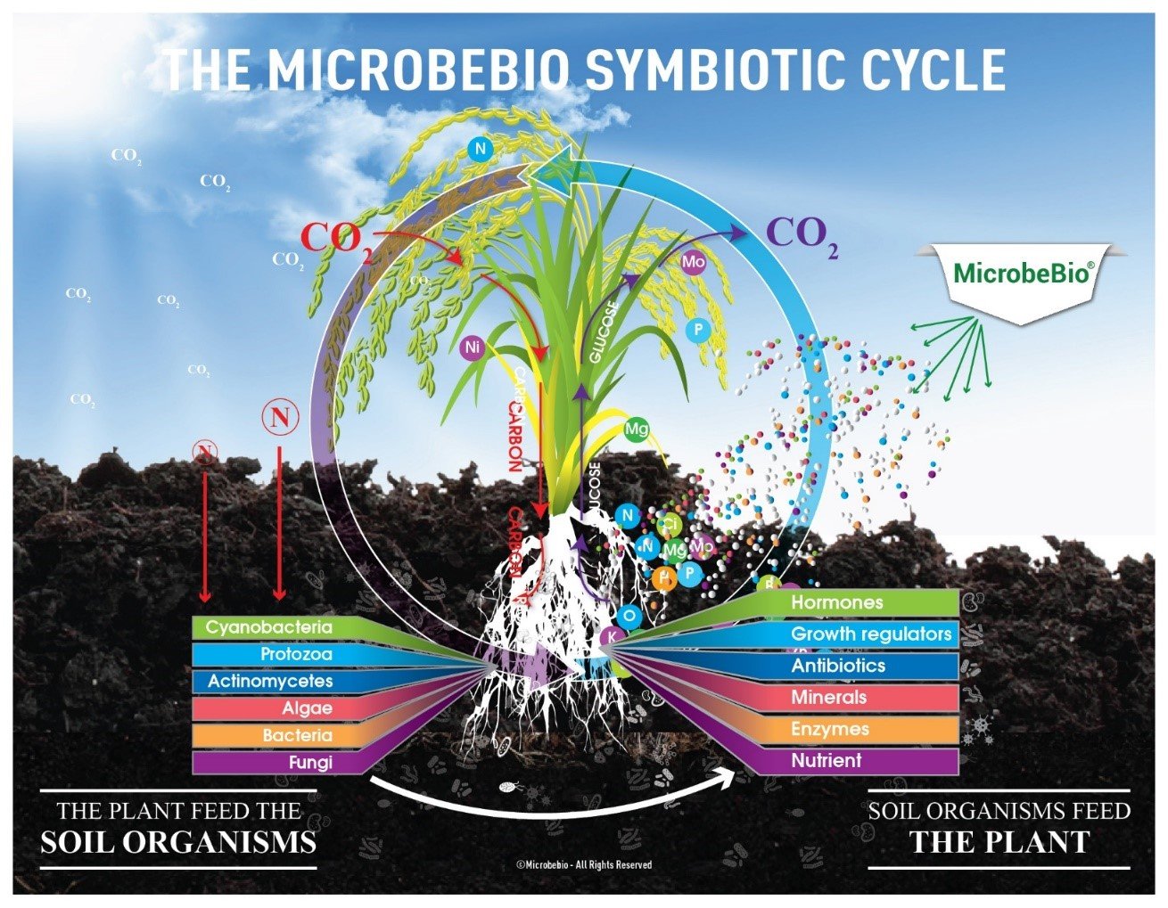 microbebio rice pest 9