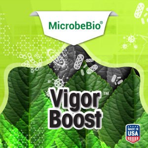 MicrobeBio® Vigor Boost™