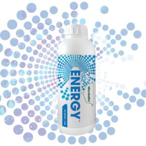 MICROBEBIO ENERGY LIQUID WEB
