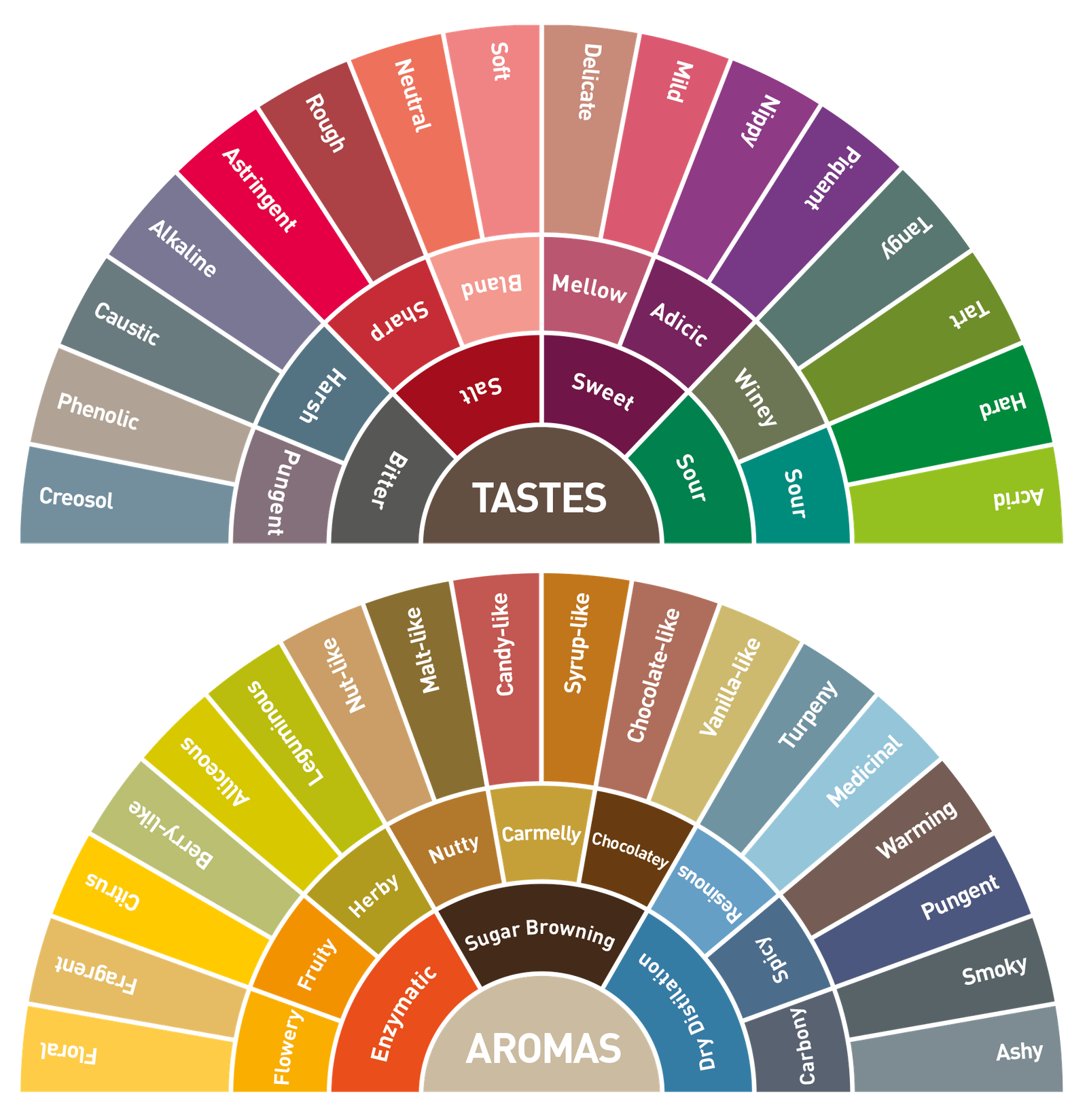 TASTE-AND-AROMA Coffee Rush treatment Microbebio
