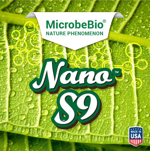 MICROBEBIO-ESSENCE NANO - IGNITE - NANO S9-03 NANO S9