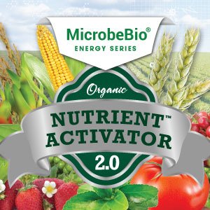 nutrient activator 2.0 (1) Microbebio Energy Series Nutrient Activator 2.0