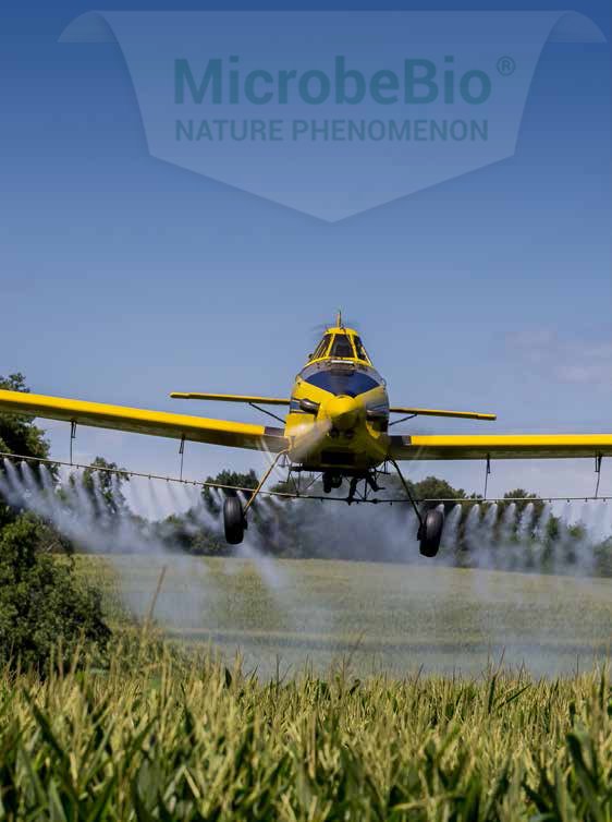 MICROBEBIO - LUA MACH 1 MICROBEBIO - LUA MACH 1