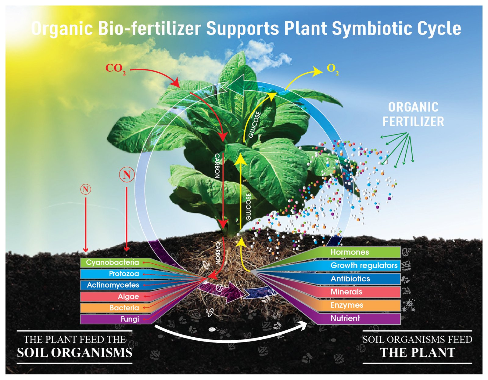 MICROBEBIO NANO FERTILIZER - INTRODUCTION - 11 21 22 nano fertilizer, nano pesticide, nano fungicide