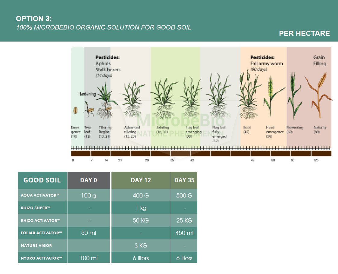 Microbebio Application for Wheat 4