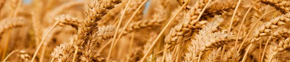Microbebio Sustainable Regenerative and Carbon Farming 12