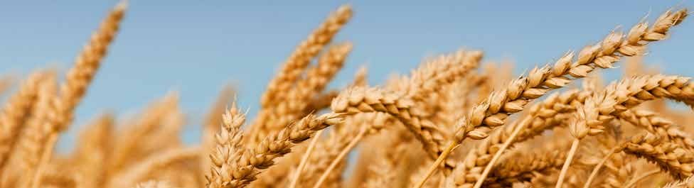 Microbebio Sustainable Regenerative and Carbon Farming 2