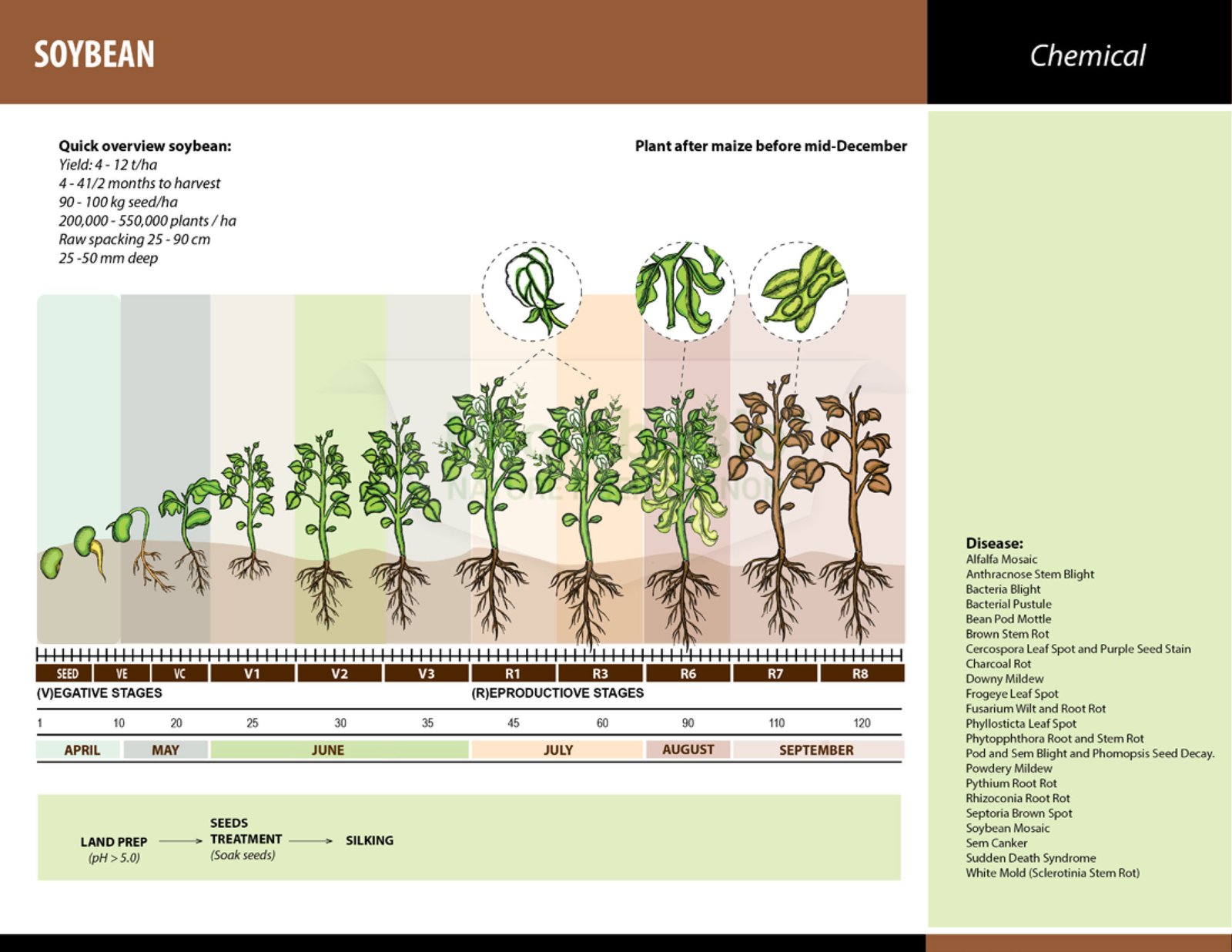 MICROBEBIO - BROCHURE - CACH BON PHAN CHO1 HECTA - SOYBEAN - 11 17 22_Page_02 MICROBEBIO Soybean application Microbe fertilizer