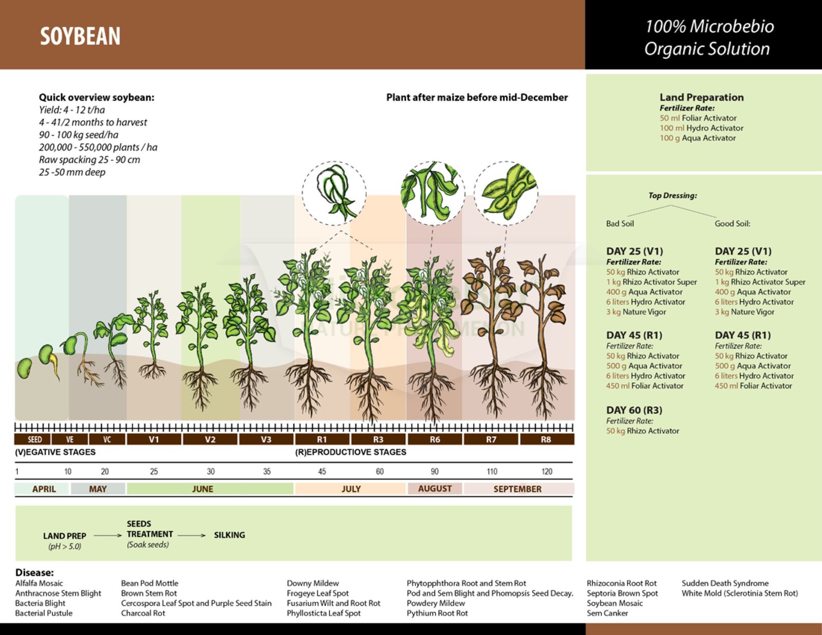MICROBEBIO - BROCHURE - CACH BON PHAN CHO1 HECTA - SOYBEAN - 11 17 22_Page_04 MICROBEBIO