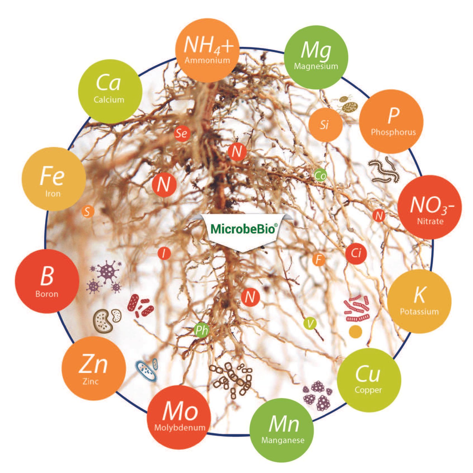 MICROBEBIO sustainable farming practices