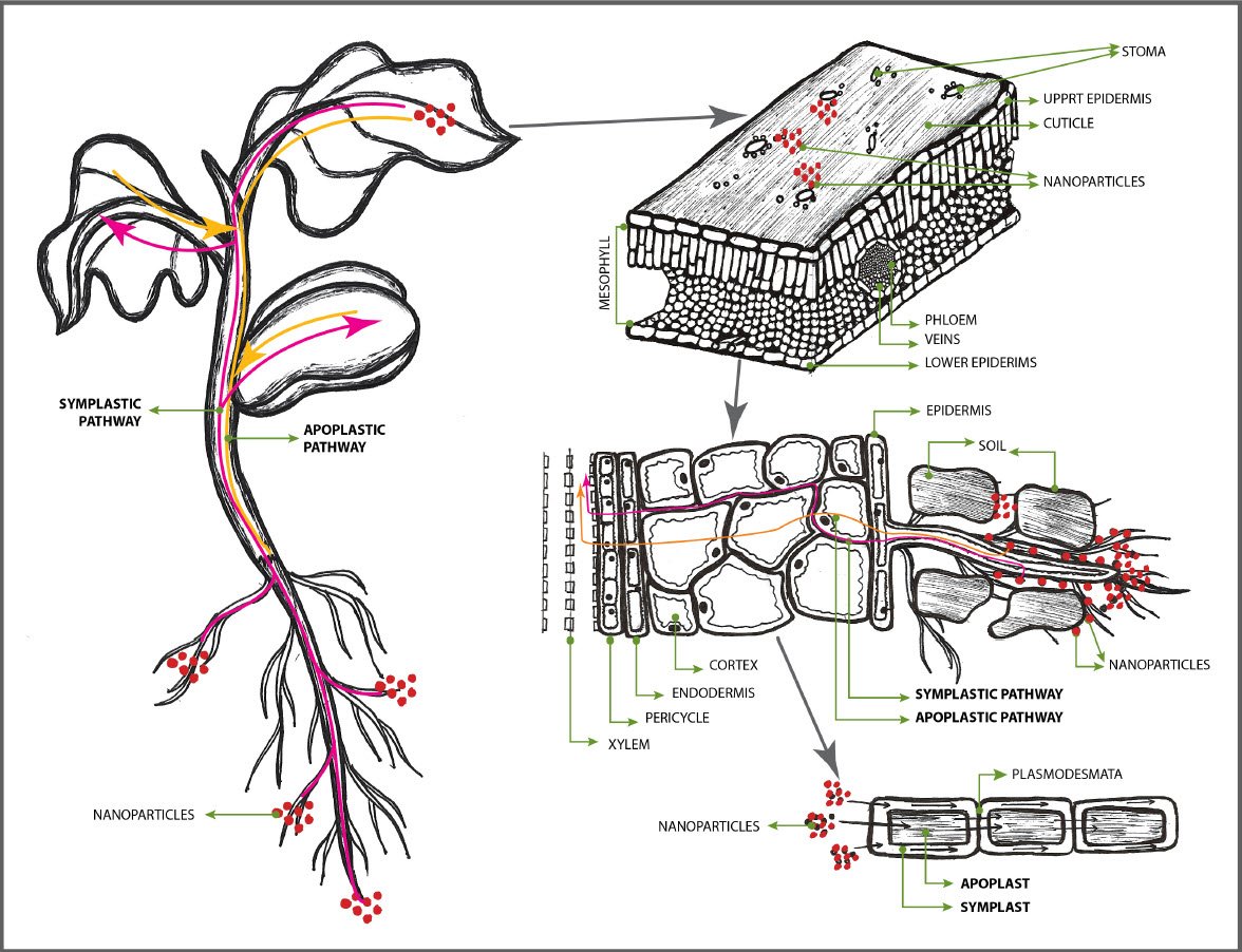 MICROBEBIO sustainable farming practices 2 Jan 31 2023