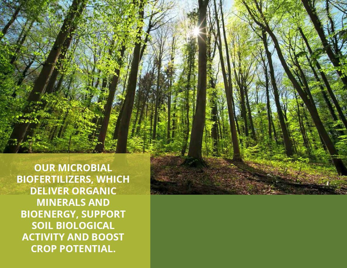 Microbebio Trace Mineral 1