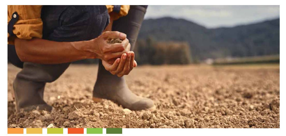 Microbebio Trace Mineral 6 Microbebio Trace Mineral 6