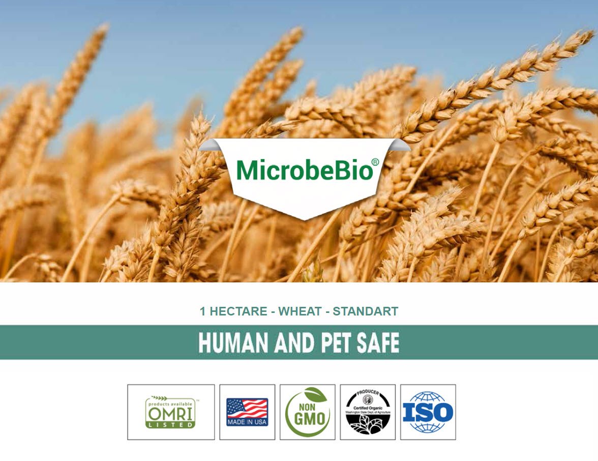 MICROBEBIO - BROCHURE - APPLICATION RATE - PEST PREVENT DISEASES - WHEAT