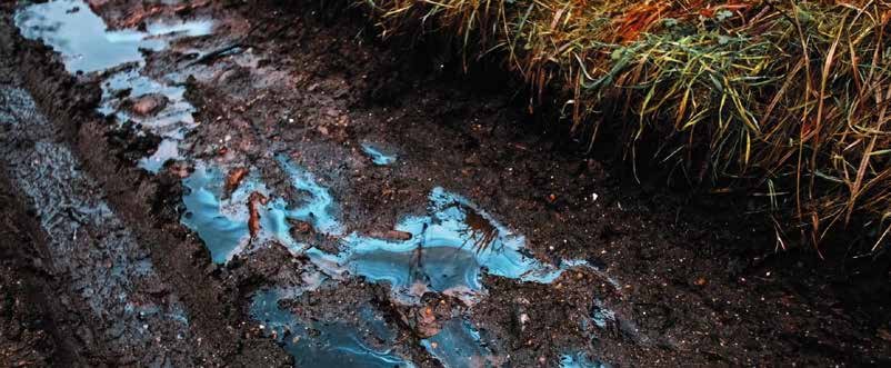 MICROBEBIO PHENOM - BROCHURE -OIL SPILL AND HEAVY METAL REMEDIATION - 02 15 23 MICROBEBIO PHENOM - BROCHURE -OIL SPILL AND HEAVY METAL REMEDIATION - 02 15 23