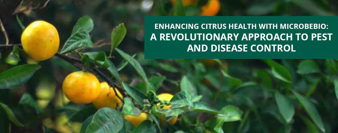 Enhancing Citrus Health with Microbebio 1 Enhancing Citrus Health with Microbebio 1