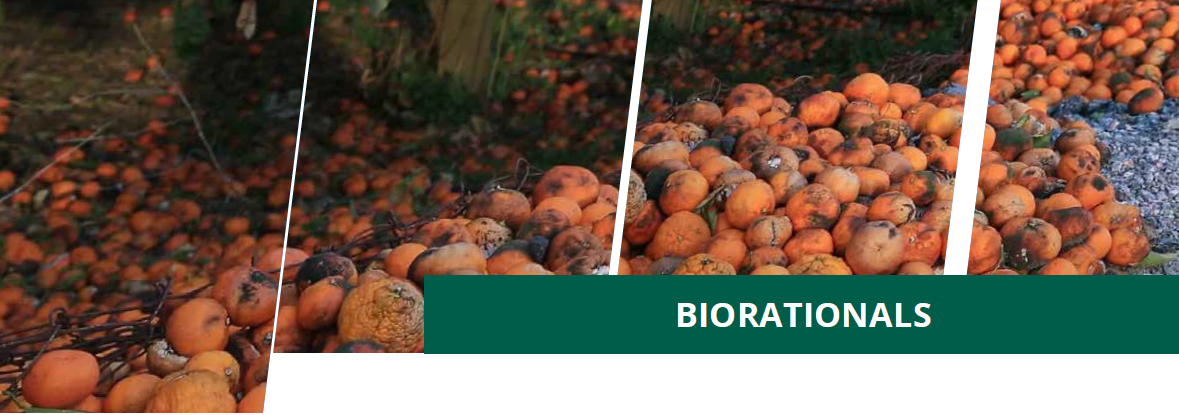 Enhancing Citrus Health with Microbebio 5