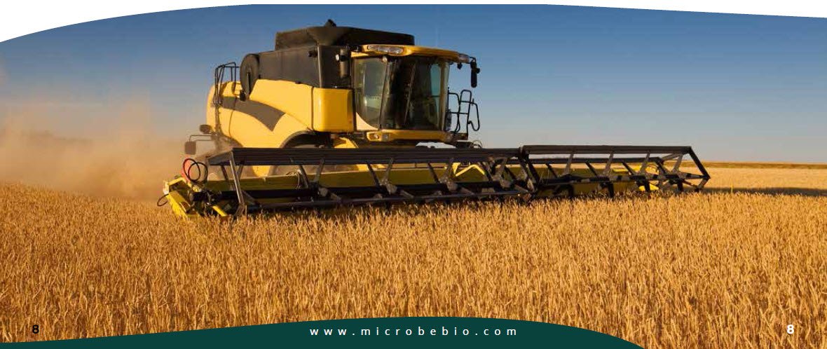 MICROBEBIO - Pioneering Carbon Emission Transformation for a Sustainable Tomorrow 10