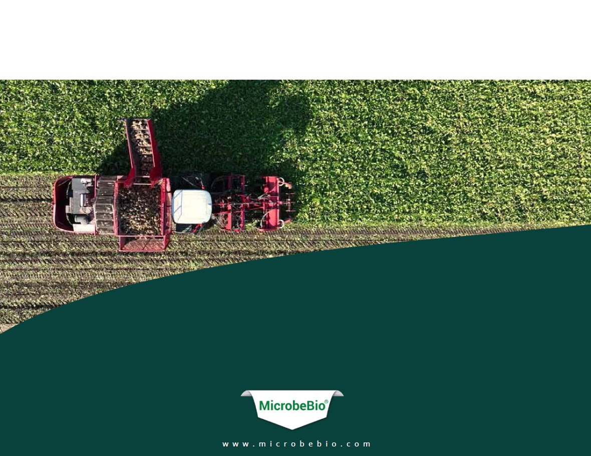 MICROBEBIO - Pioneering Carbon Emission Transformation for a Sustainable Tomorrow 11