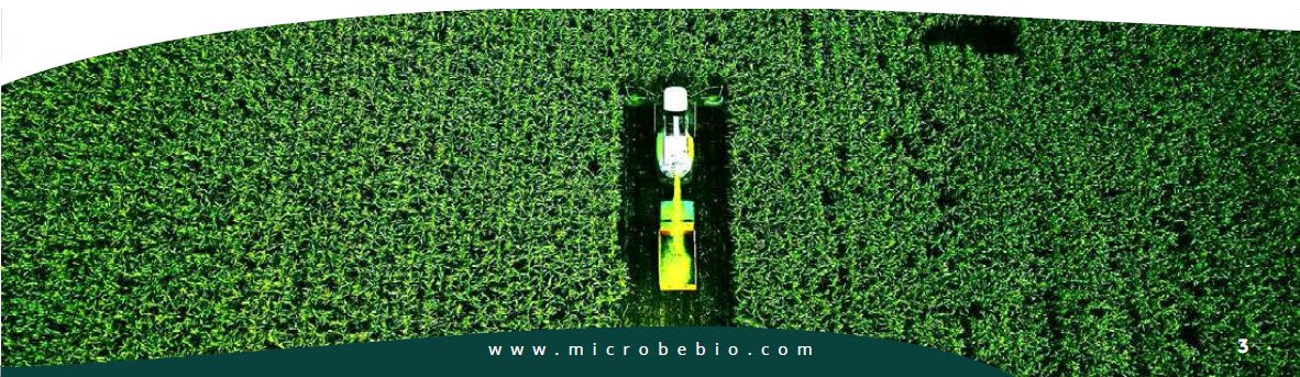 MICROBEBIO - Pioneering Carbon Emission Transformation for a Sustainable Tomorrow 3