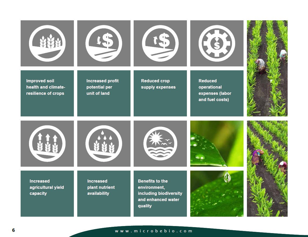 MICROBEBIO - Pioneering Carbon Emission Transformation for a Sustainable Tomorrow 8