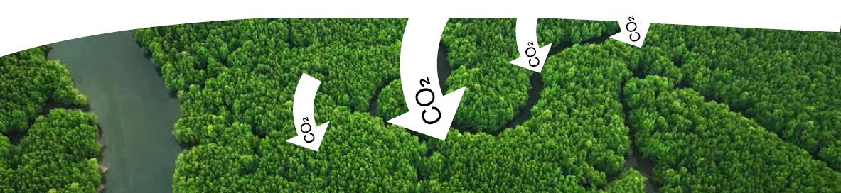 Transform Your Farming with Microbebio 1 Transform Your Farming with Microbebio 1