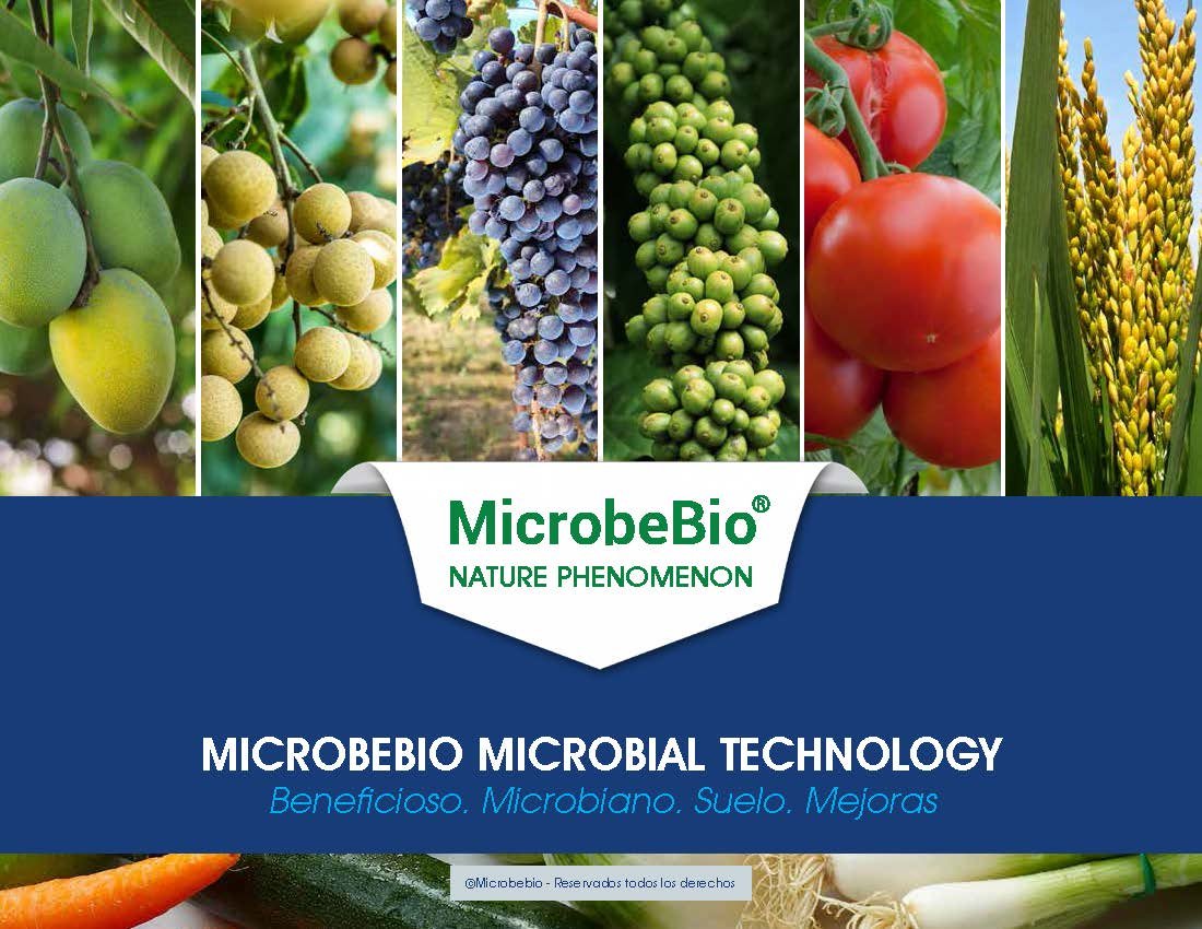 MICROBEBIO - THE WORLD_Page_186