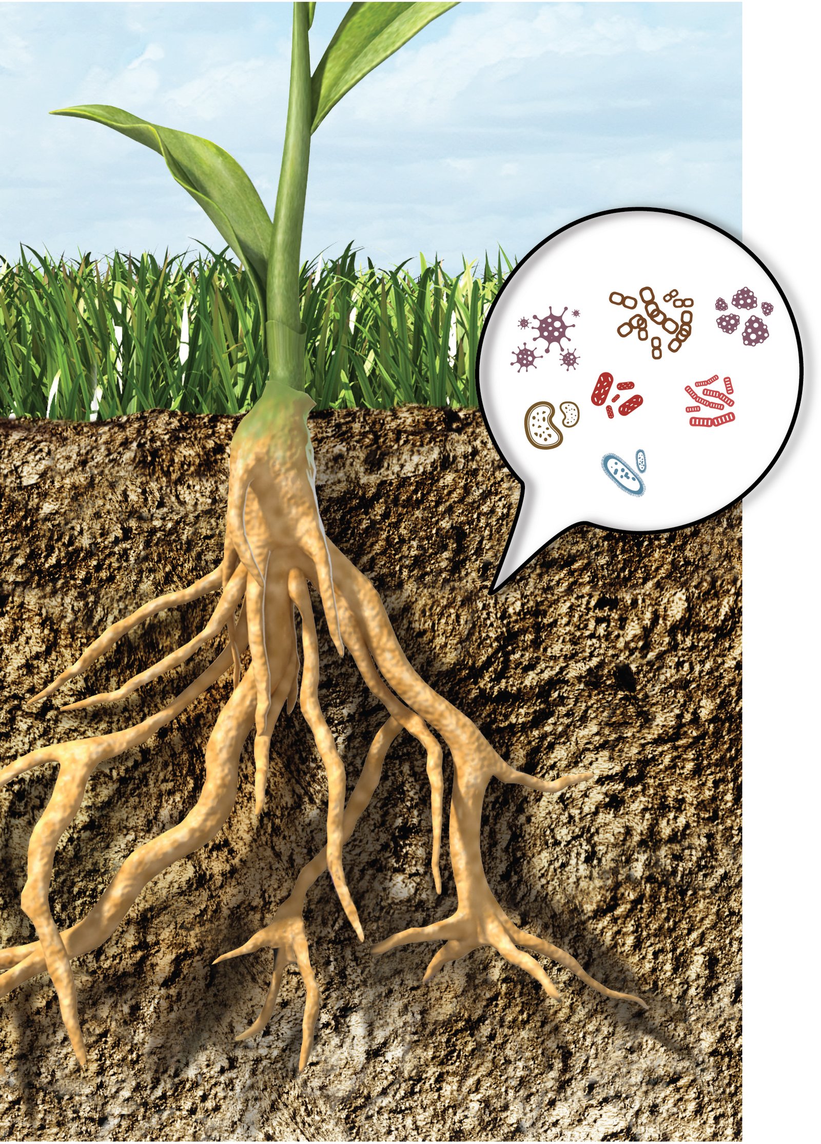 MICROBEBIO -MICROBES - IN THE SOIL - 01 03 23-01