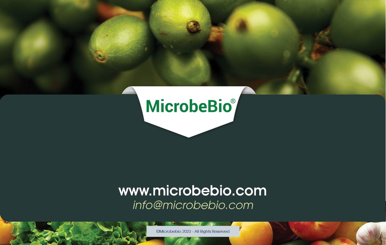 MICROBEBIO - DE XUAT SAN PHAM MICROBEBIO - THAILAND - 11 25 2410