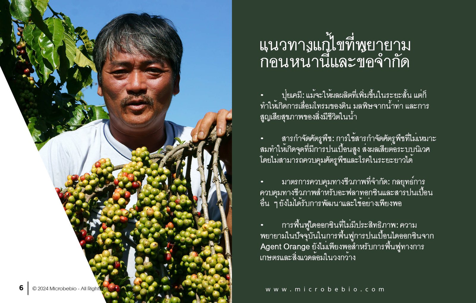 MICROBEBIO - DE XUAT SAN PHAM MICROBEBIO - THAILAND - 11 25 246