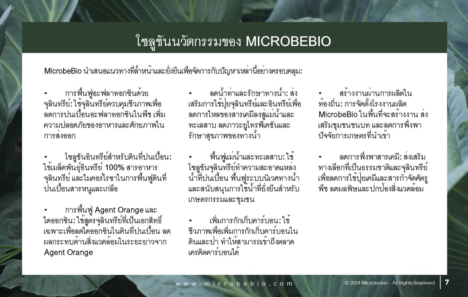 MICROBEBIO - DE XUAT SAN PHAM MICROBEBIO - THAILAND - 11 25 247