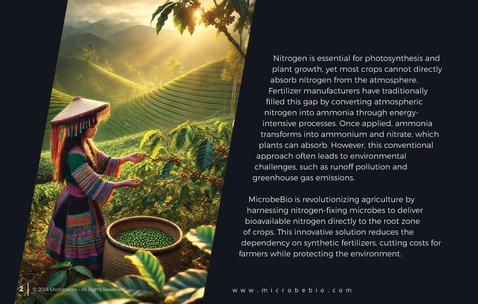 MICROBEBIO - Transforming Agriculture with Nitrogen-Fixing Microbes - 11 21 242
