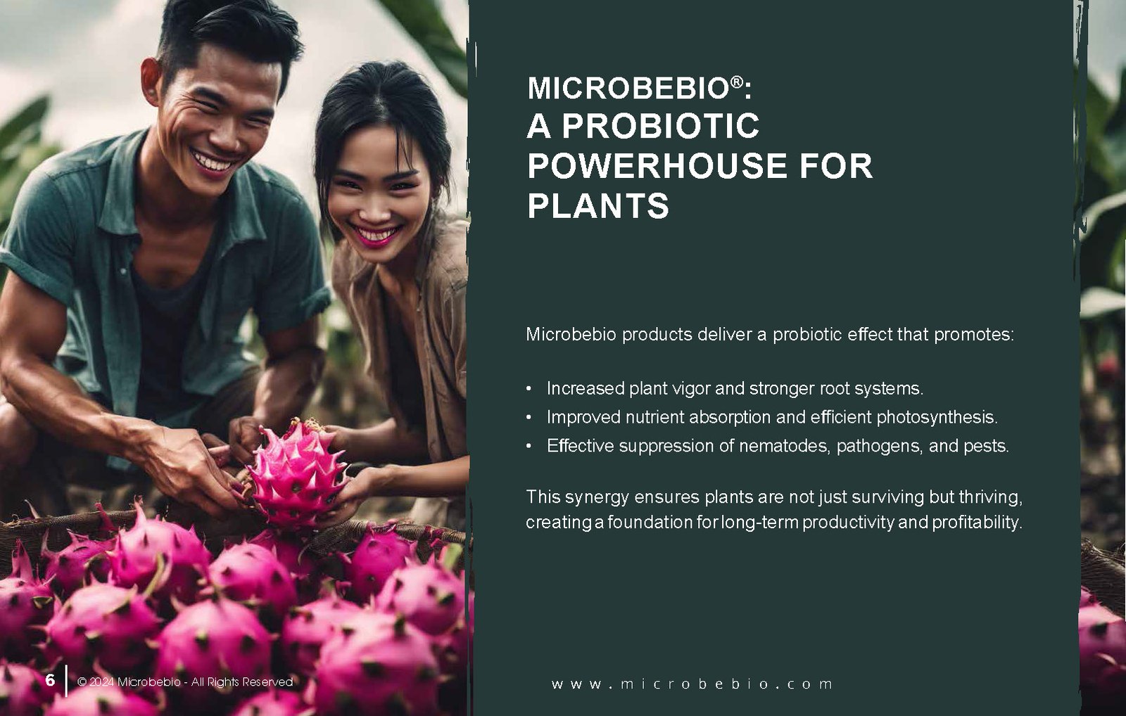 Transforming Agriculture in Vietnam and Southeast Asia with Microbebio_Page_6