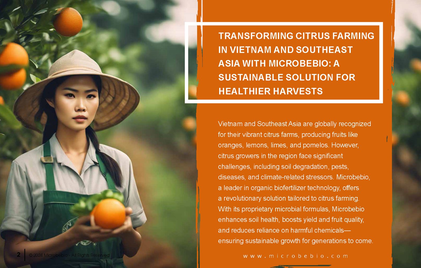 Transforming Citrus Farming in Vietnam and Southeast Asia with Microbebio_Page_2