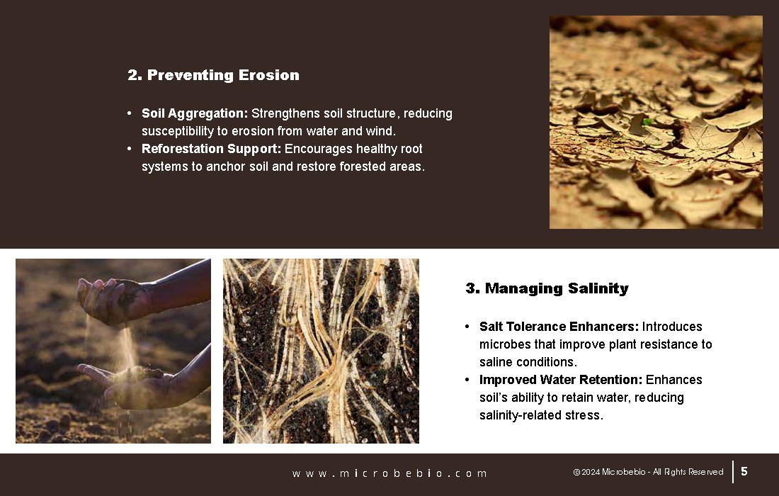 A Revolutionary Solution for Soil Contamination-Sustainable Forestry-and CO2 Credit Markets_Page_05