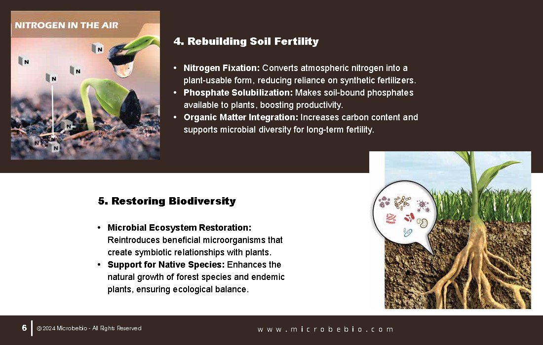 A Revolutionary Solution for Soil Contamination-Sustainable Forestry-and CO2 Credit Markets_Page_06