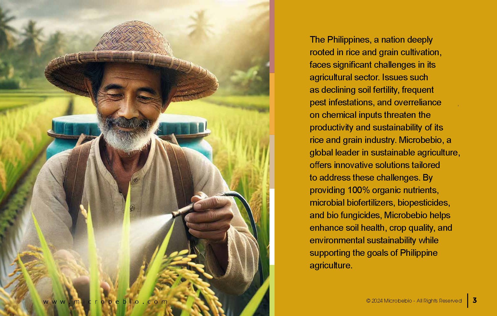 Advancing the Philippine Grain and Rice Industry with 100 Organic Solutions_Page_03