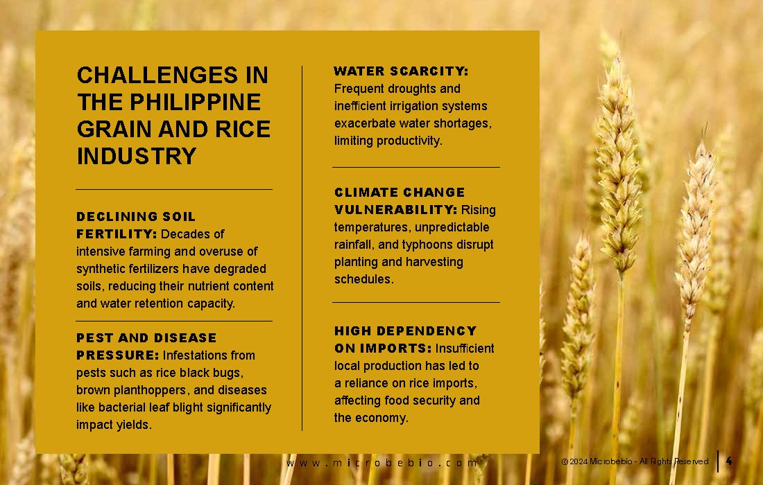 Advancing the Philippine Grain and Rice Industry with 100 Organic Solutions_Page_04