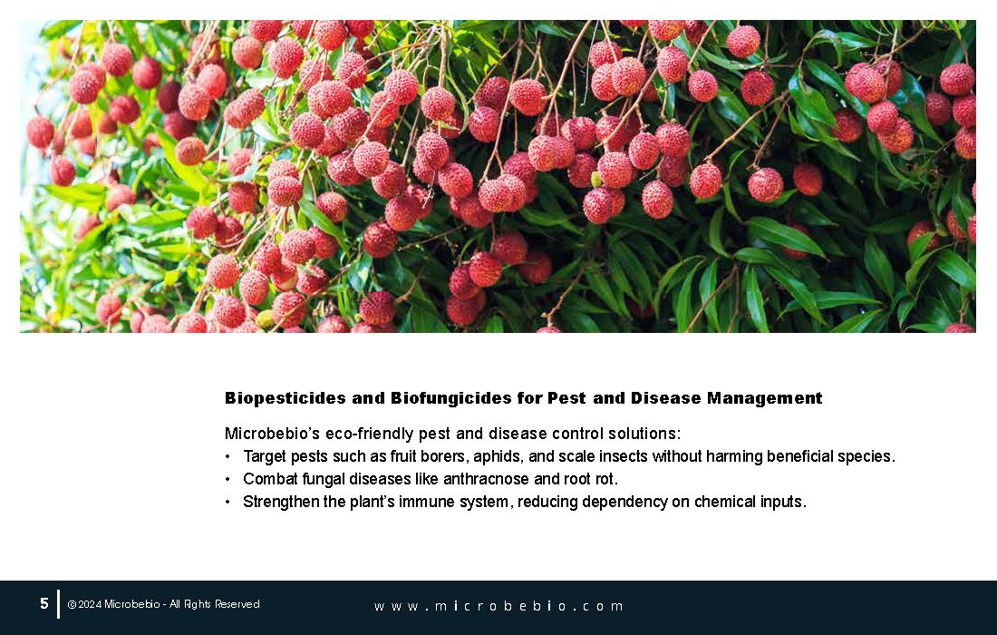 Elevating Cambodia Longan and Lychee Industry with 100 Organic_Page_05