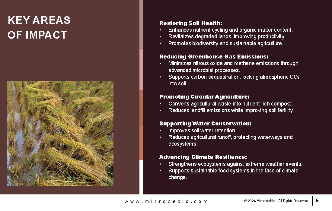 Empowering the Environment with Innovative Solutions_Page_05